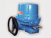 QT系列户外型电动头