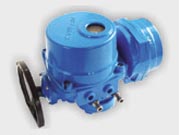 QT系列整体型电动头