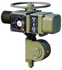 FQ30**系列整体型部分回转电动执行器