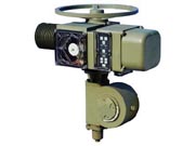 FQ30**系列整体型部分回转电动执行器